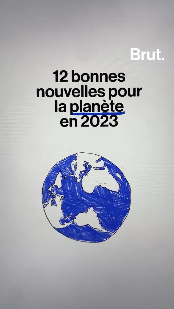 12 bonnes nouvelles pour la planète en 2023 Brut