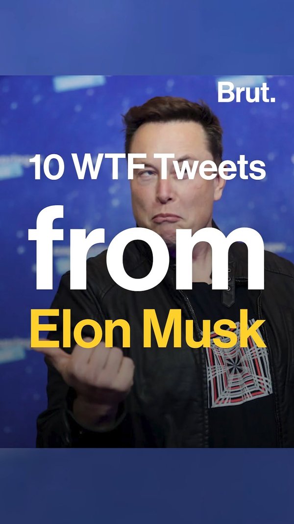 Elon Musk S Most Bizarre Tweets Ranked Brut