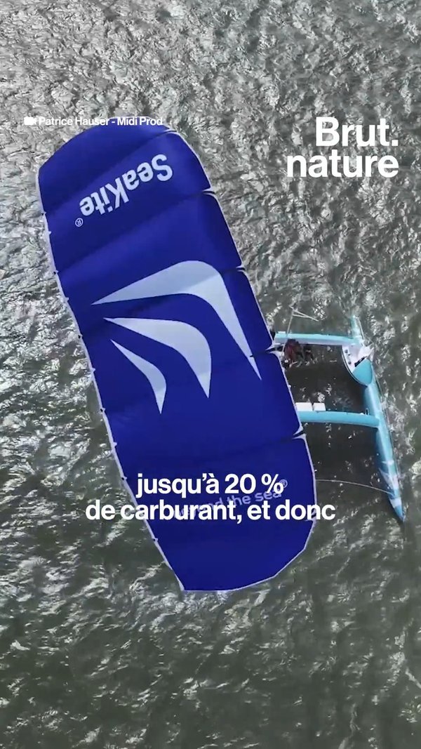 VIDEO Il invente le cargo à voile moins polluant Brut