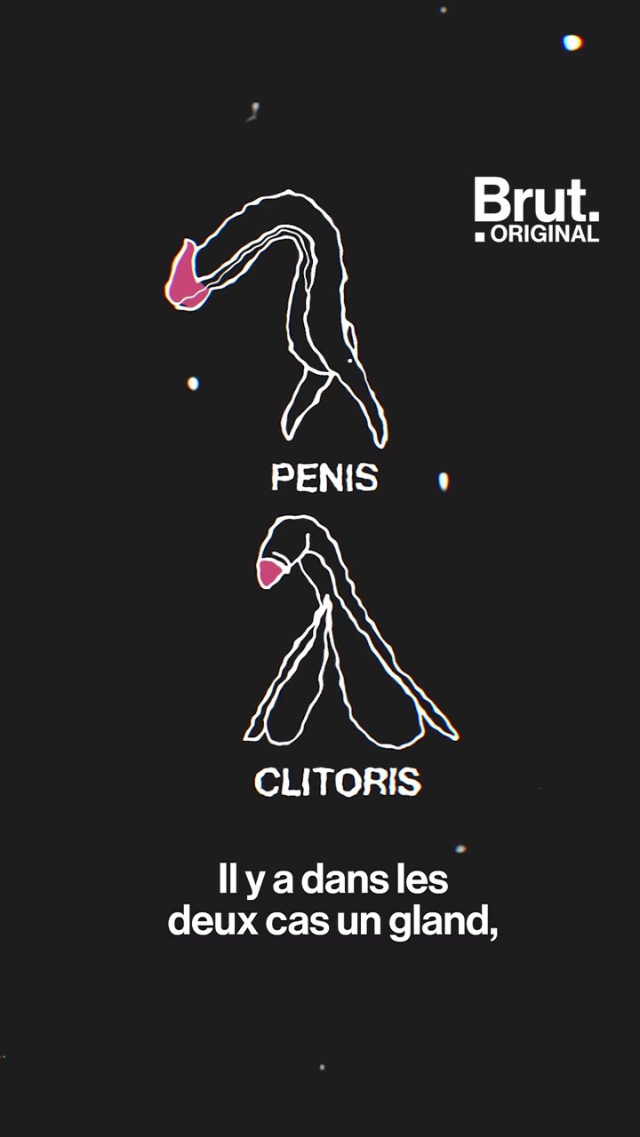 5 points communs entre le clitoris et le pénis | Brut.