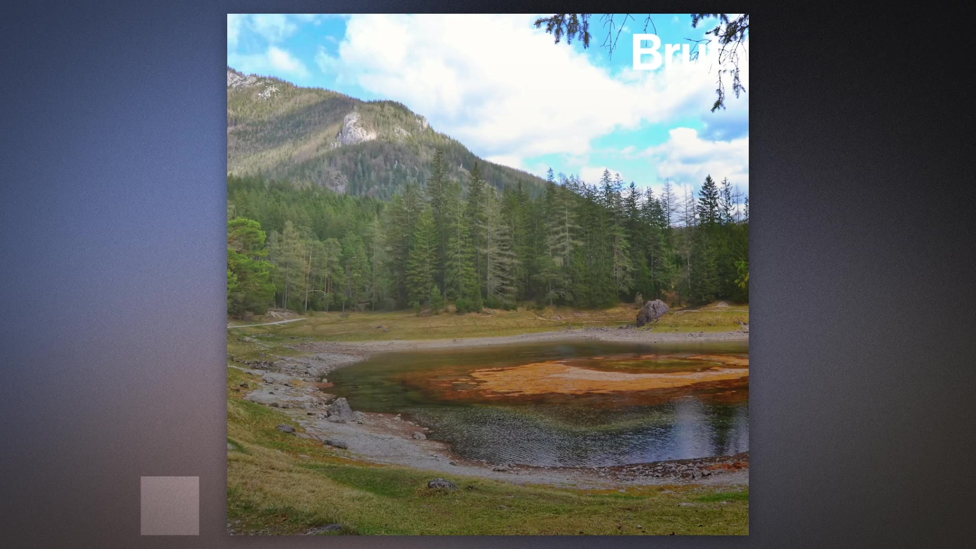 Austria S Magical Green Lake Disappears In Winter Brut