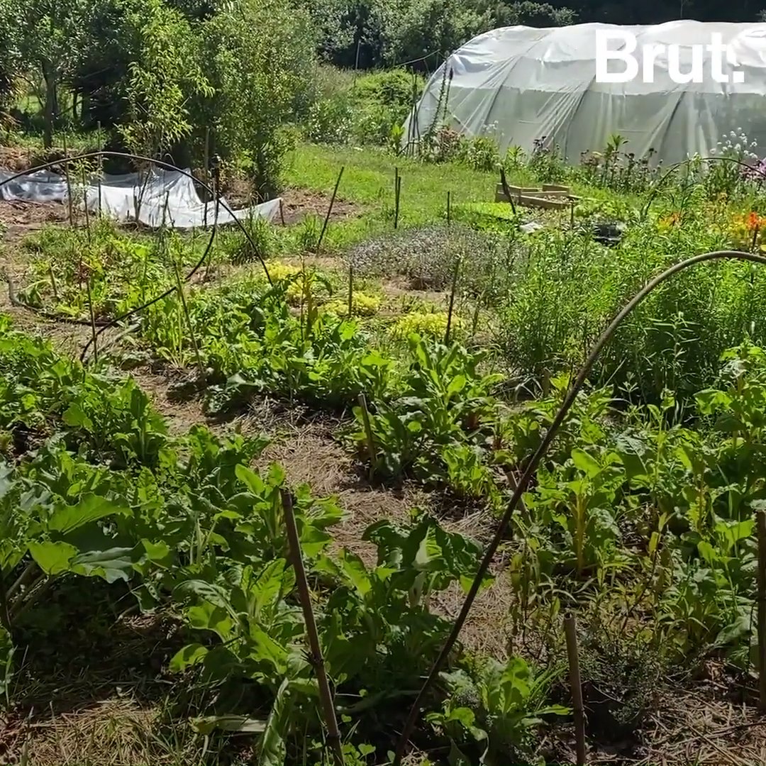 L'oasis du Keruzerh, un petit village breton tourné vers l'avenir Brut.