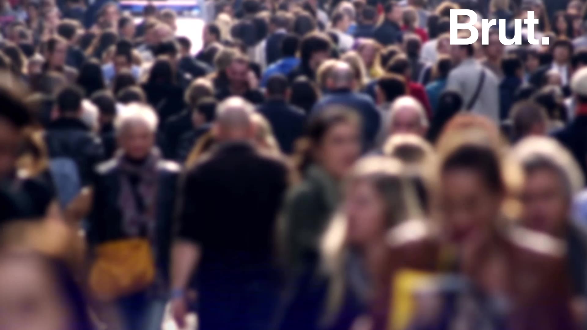 Le Revenu Universel C Est Quoi Brut