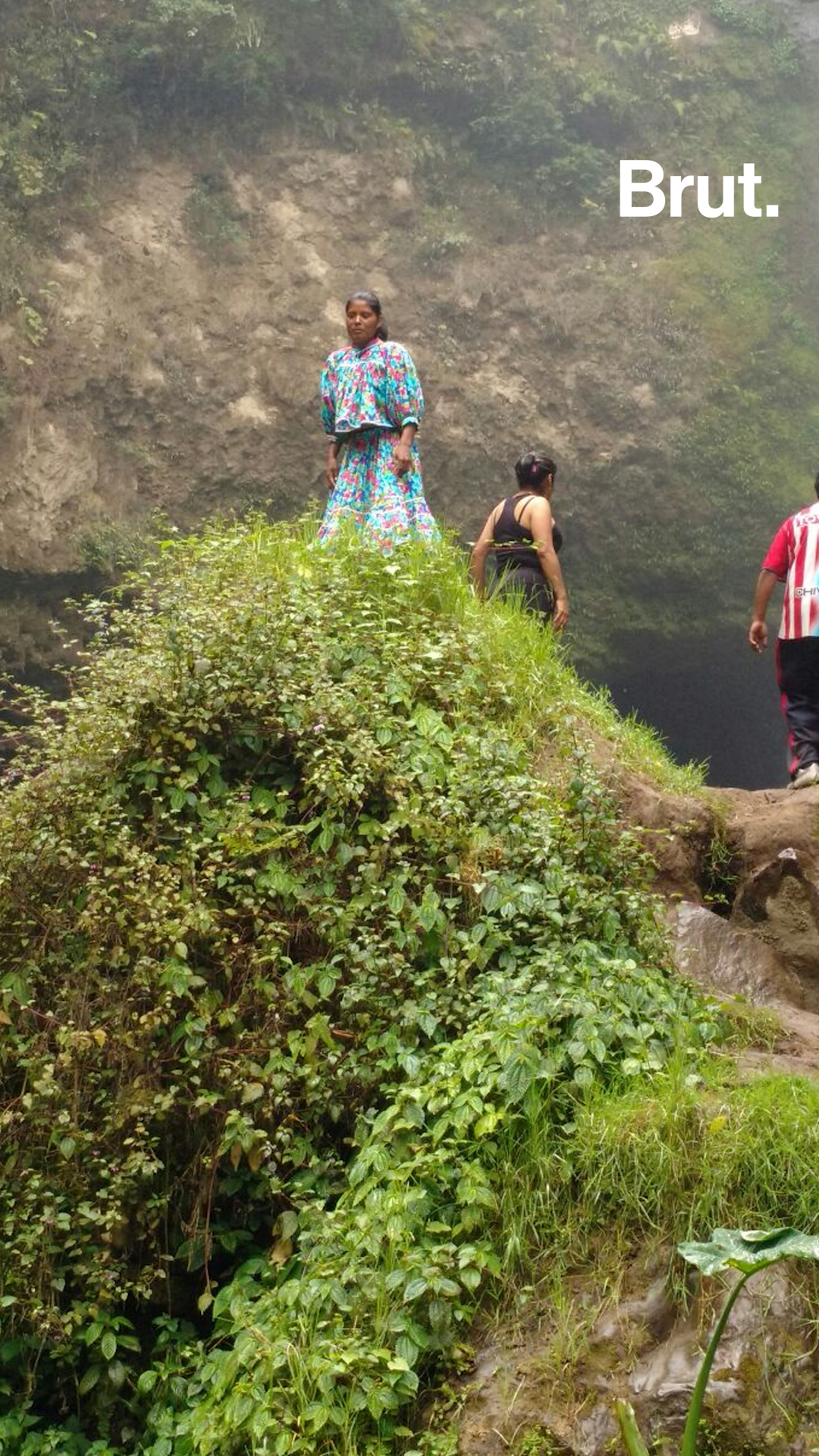 The Life Of Dmx Brut The Life Of Dmx Brut