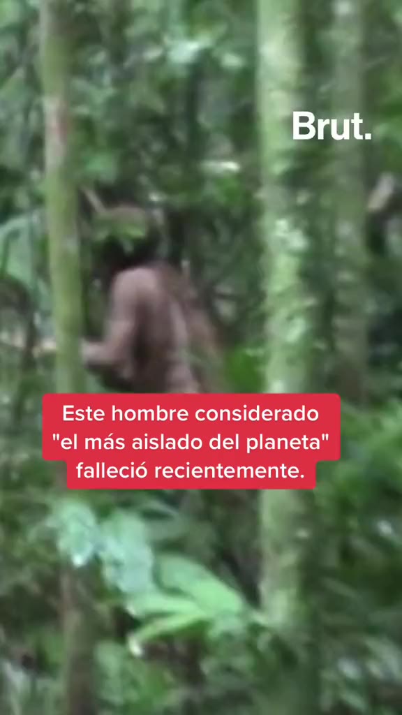 ✨ Llegó el rey de la selva 🦁🍃 Conoce nuestras mantas cumple mes pers