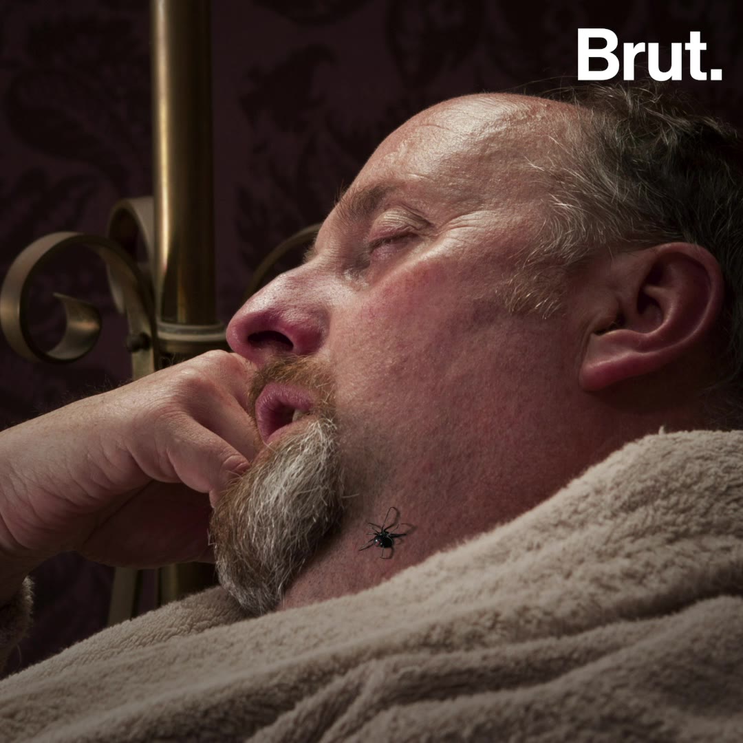 Quelle Est La Piqure D Insecte La Plus Douloureuse Brut