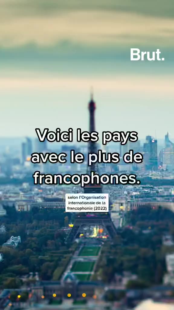 voici-les-pays-avec-le-plus-de-francophones--1b64f0b2-2eba-442a-bf85-09df2bcf6f91-bb958659-cc82-4186-9ff6-26e099d830ad-portrait-auto.jpg