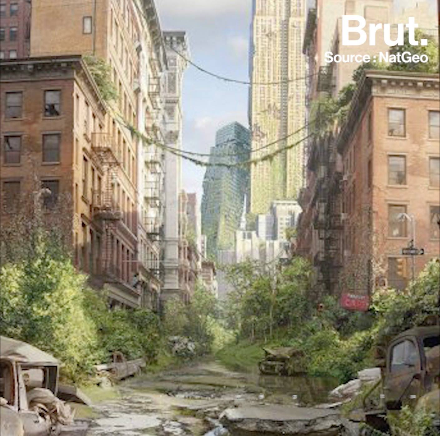What would happen to Earth if humans suddenly disappeared ? Brut.