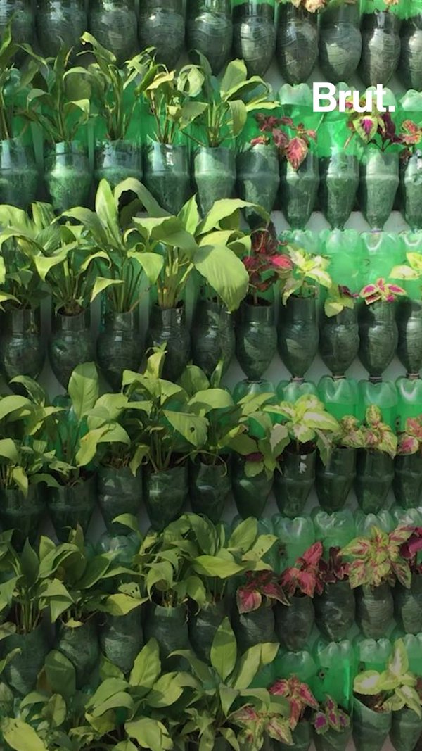 3 Innovative Urban Greening Initiatives | Brut.