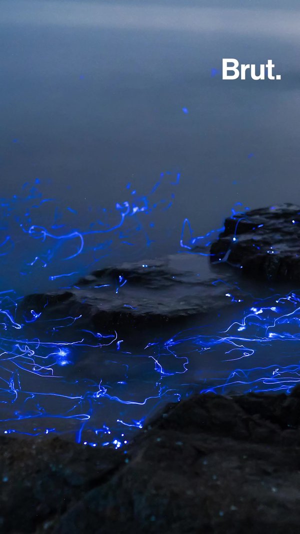 Phenomena Phenomena