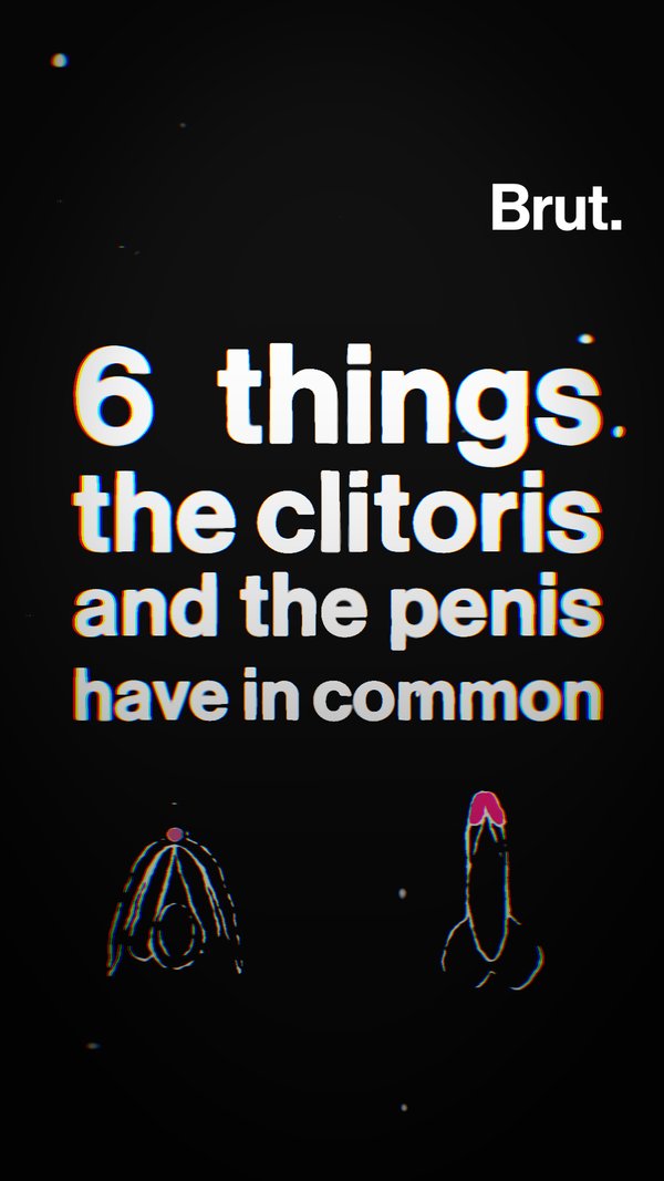 Clitor Penis
