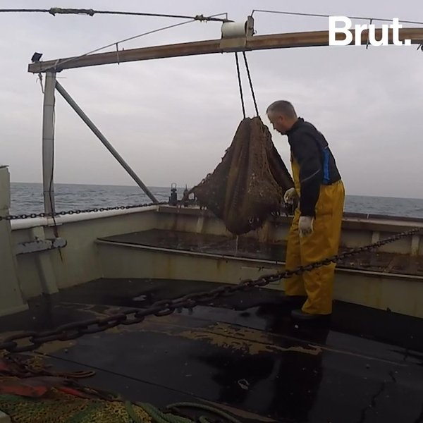 Barcelona A Huge Amount Of Human Waste Has Reached The Sea Brut