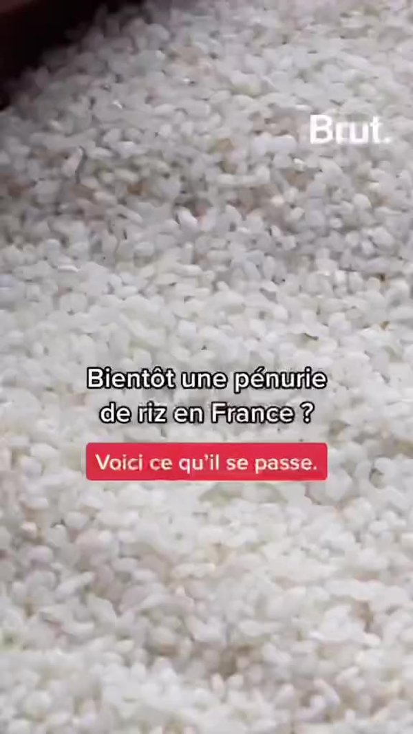 Bientôt Une Pénurie De Riz Dans Les Supermarchés En France ? | Brut.