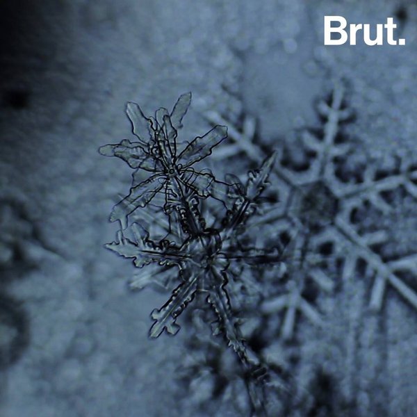 Comment Se Forment Les Flocons De Neige | Brut.