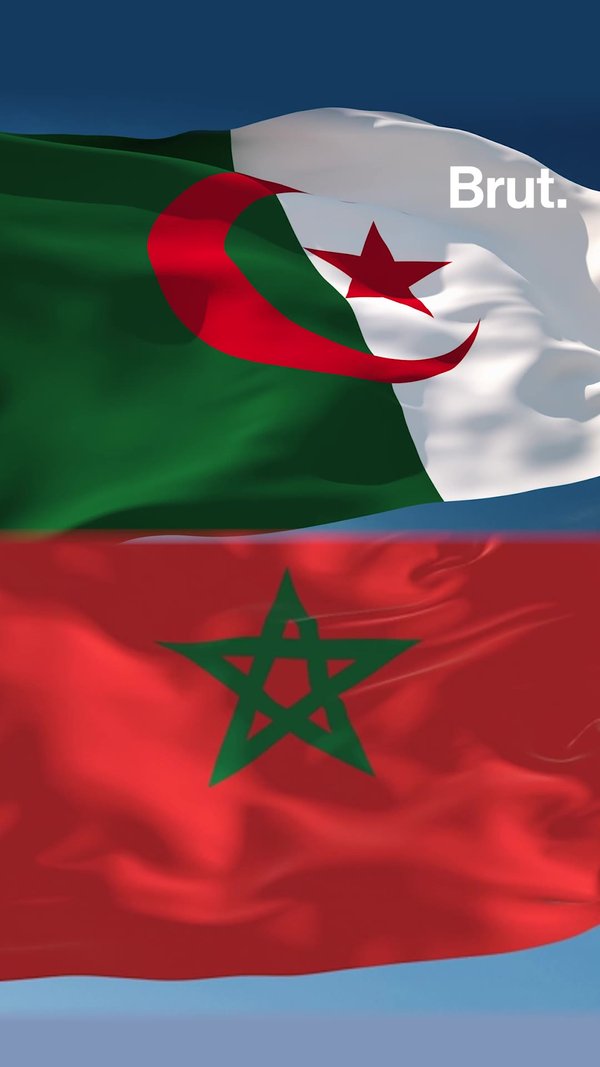 Fin des restrictions de visas pour le Maroc et l'Algérie | Brut.