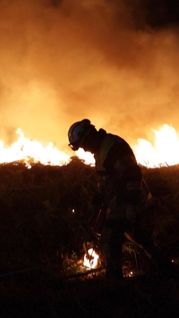 Incendies dans les Landes : pourquoi la forêt brûle ?