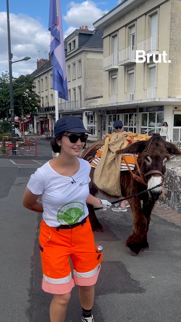 Son job d'été : elle ramasse des déchets avec un âne