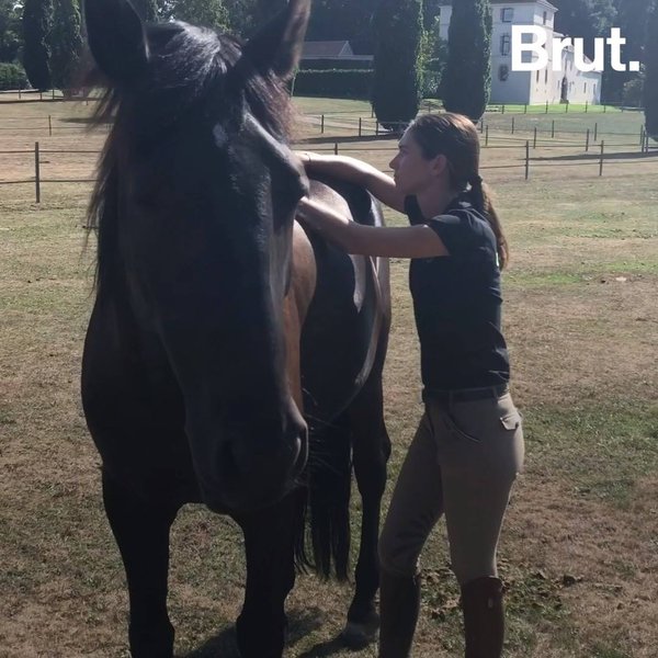 What is ethological equitation? Brut.